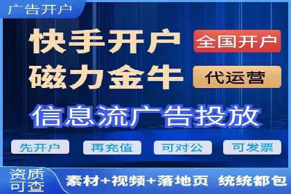 百度平台推广：成功案例解析与效果分析